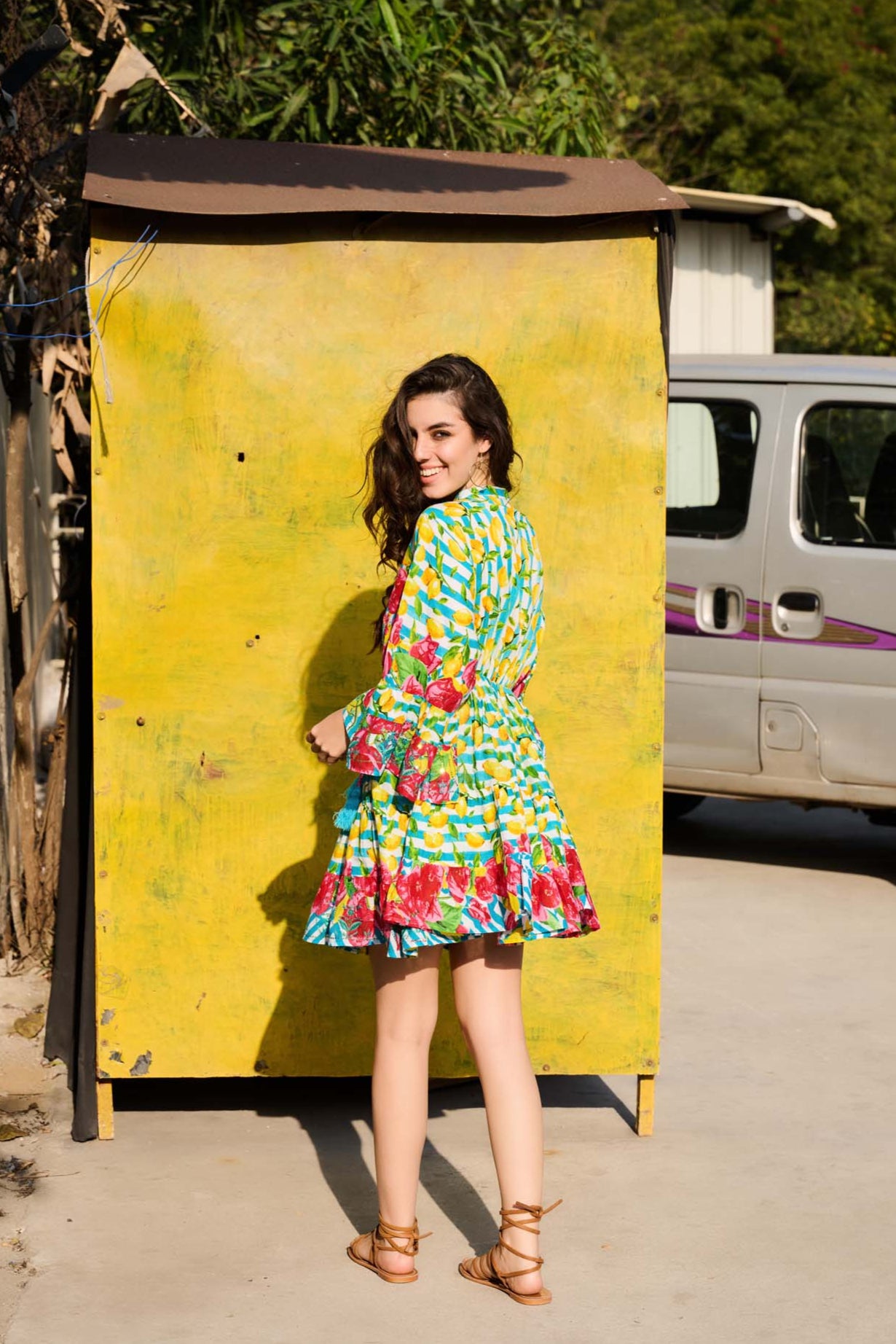 Linear Embroidered Bloom dress