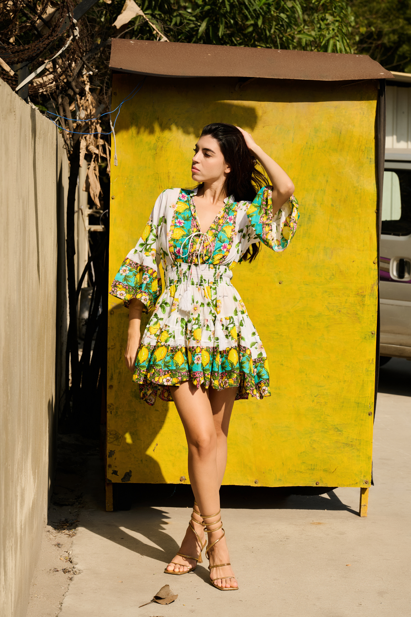 Tropical  Luxe Embroidered  Mini Dress