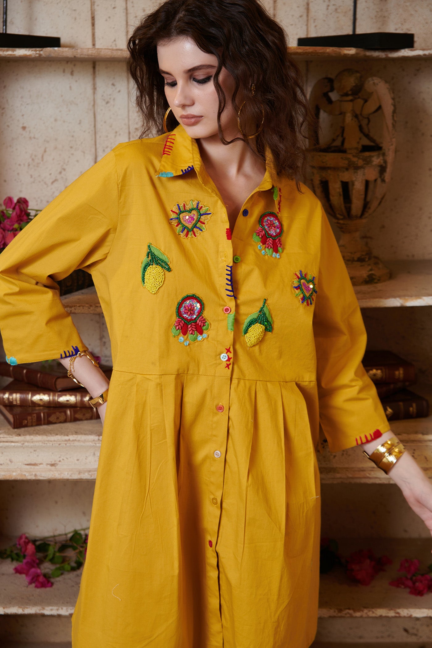 Poplin Embroidered Shirt Dress