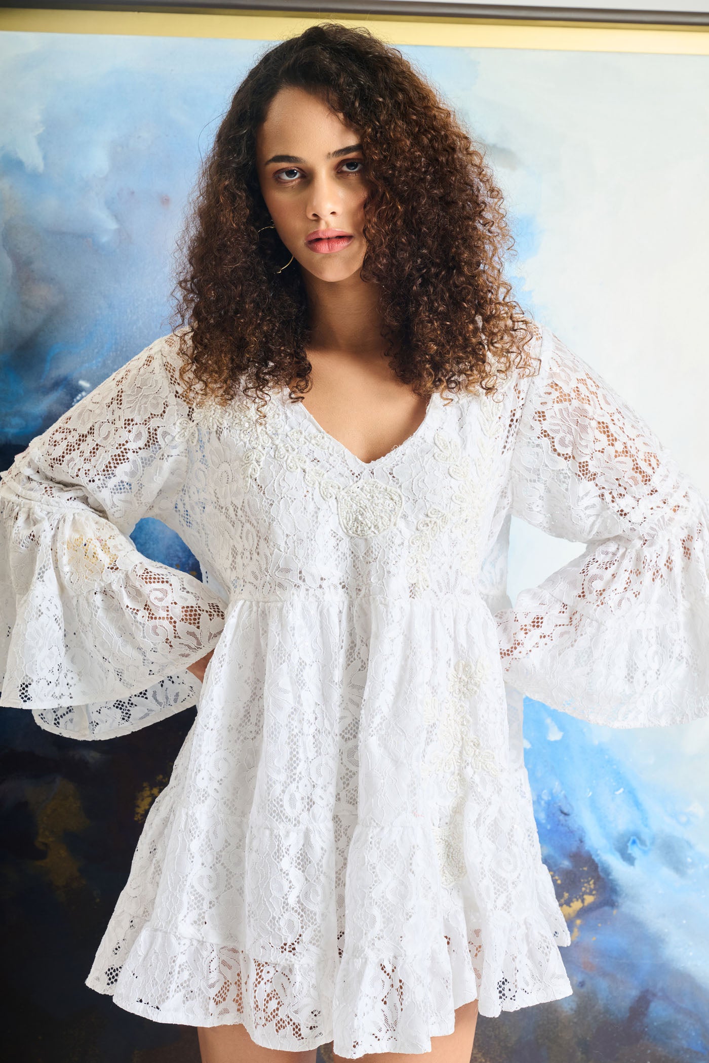 Floral Lace Boho Mini Dress
